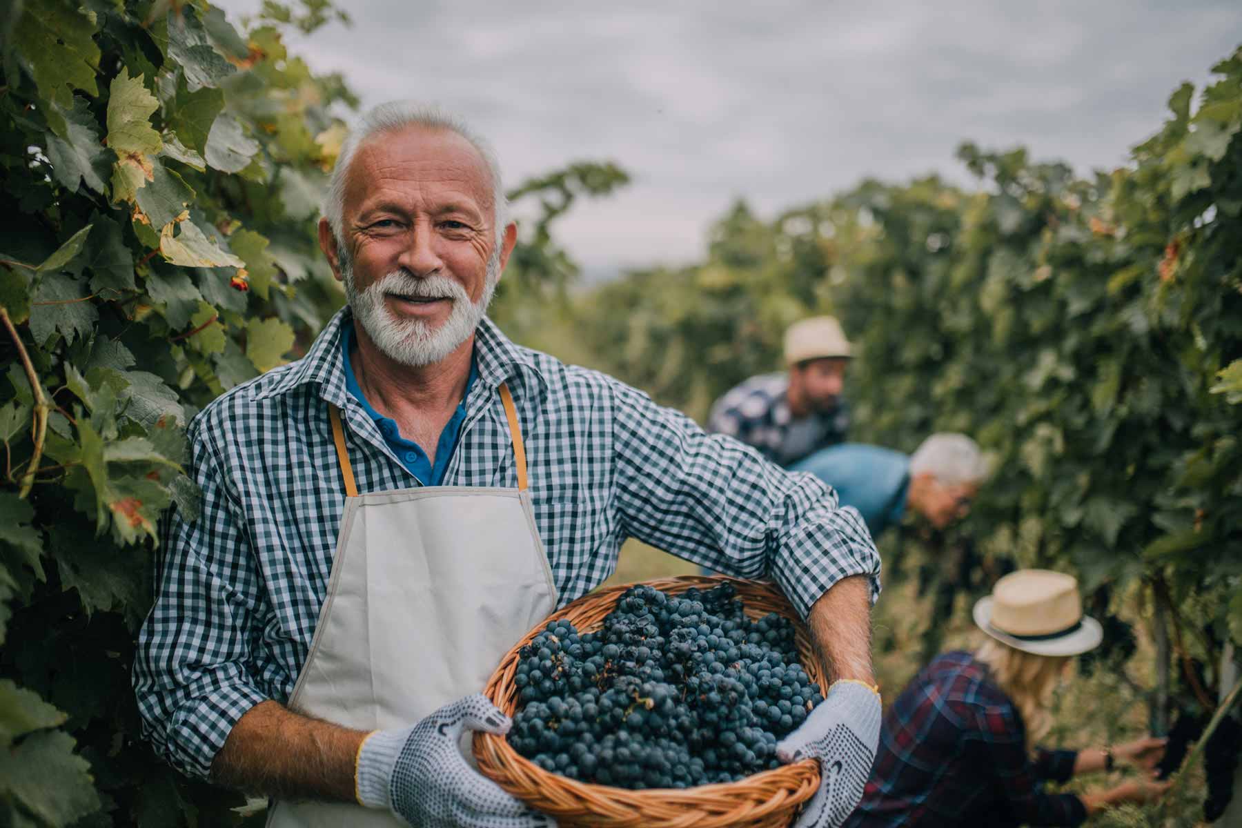 old-smiling-man-winery-1