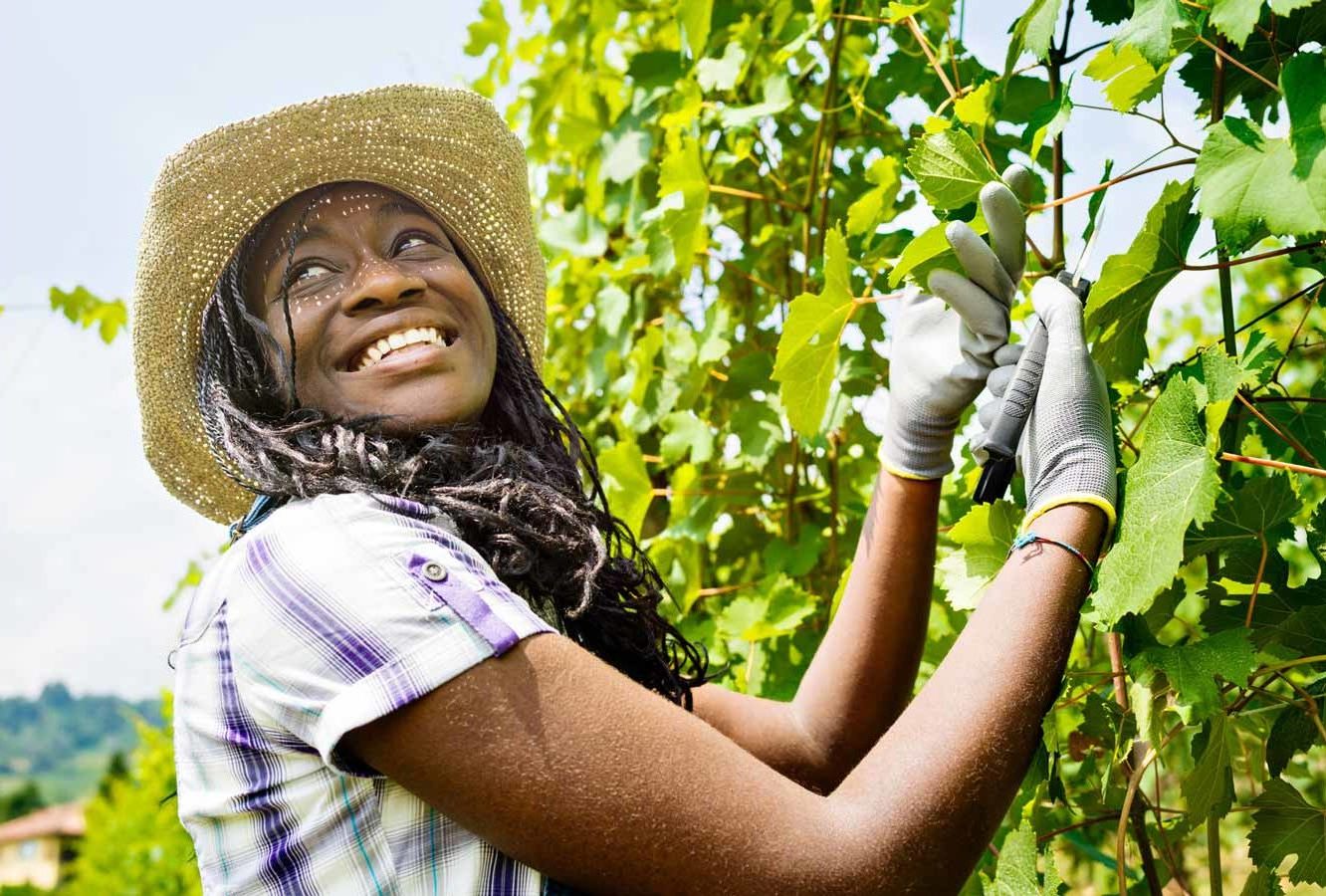 smiling-african-girl-vineyard-1